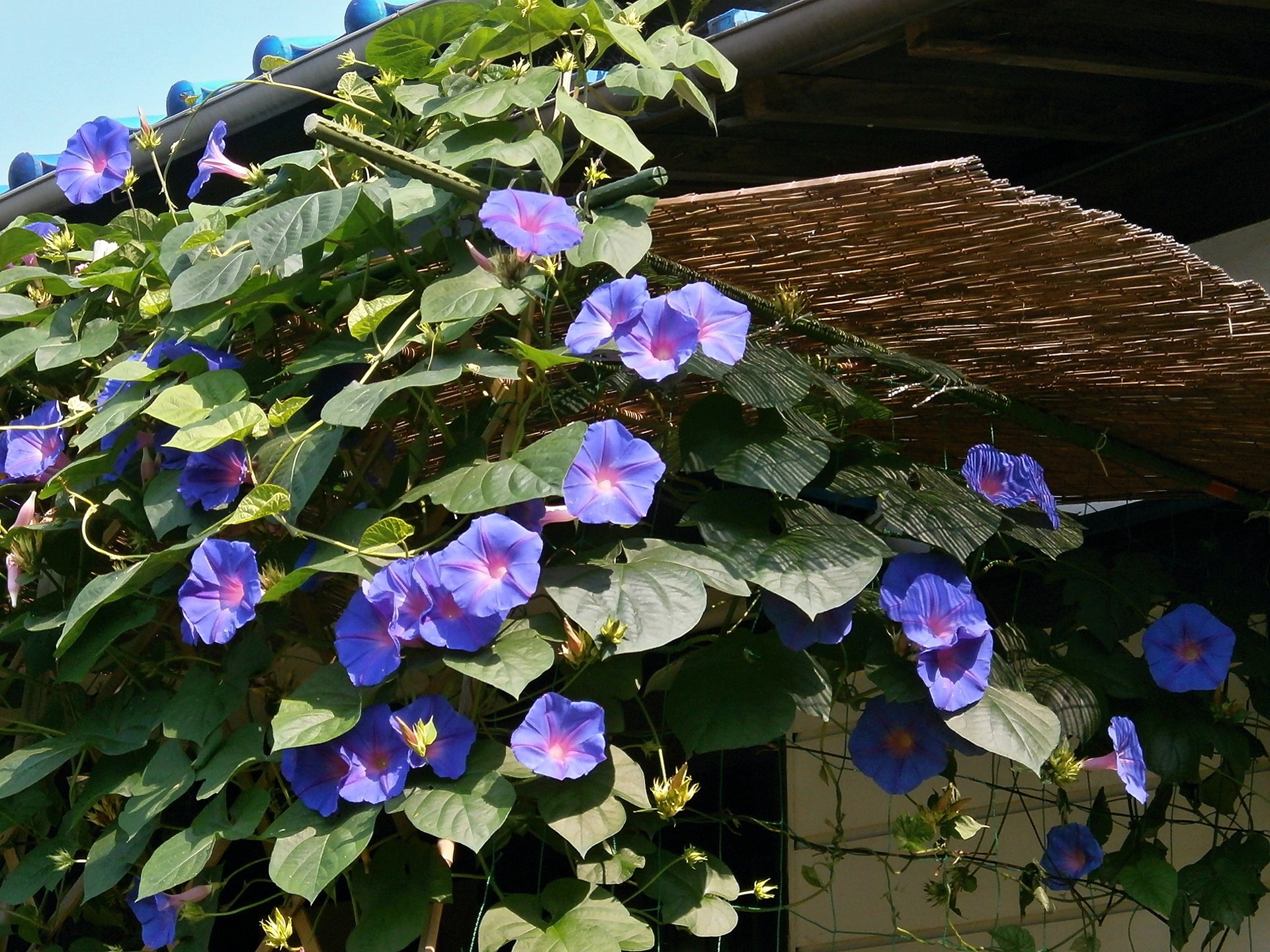 Gîtes sur la commune